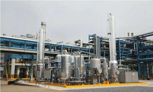 揚(yáng)子石化 國產(chǎn)替代助力企業(yè)解決進(jìn)口難題 互聯(lián)網(wǎng)銷售模式加速產(chǎn)業(yè)升級